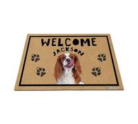 GABSHAIM Personalized Dog Doormat Cavalier King Charles Spaniel Welcome Floor Mat for Front Door Entryway Indoor Outdoor Decoration 15.7 x 23.6 Inch Style 2