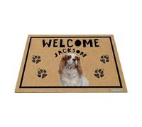GABSHAIM Personalized Dog Doormat Cavalier King Charles Spaniel Welcome Floor Mat for Front Door Entryway Indoor Outdoor Decoration 23.6 x 35.4 Inch Style 3