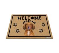 GABSHAIM Personalized Dog Doormat Dachshund Welcome Floor Mat for Front Door Entryway Indoor Outdoor Decoration 17.7 x 27.5 Inch Style 3