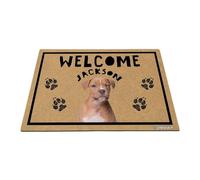 GABSHAIM Personalized Dog Doormat Puppy American Staffordshire Terrier Welcome Floor Mat for Front Door Entryway Indoor Outdoor Decoration 15.7 x 23.6 Inch Style 1