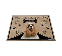 GABSHAIM Personalized Dog Doormat Visitors Must Be Approved by American Cocker Spaniel Dog Floor Mat Cartoon Paws Bone for Entrance Indoor Outdoor Home Decor 15.7 x 23.6 Inch