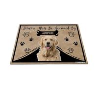 GABSHAIM Personalized Dog Doormat Visitors Must Be Approved by Golden Retriever Dog Floor Mat Cartoon Paws Bone for Entrance Indoor Outdoor Home Decor 15.7 x 23.6 Inch Style 3