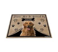 GABSHAIM Personalized Dog Doormat Visitors Must Be Approved by Golden Retriever Dog Floor Mat Cartoon Paws Bone for Entrance Indoor Outdoor Home Decor 17.7 x 27.5 Inch Style 2