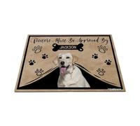 GABSHAIM Personalized Dog Doormat Visitors Must Be Approved by Labrador Dog Floor Mat Cartoon Paws Bone for Entrance Indoor Outdoor Home Decor 23.6 x 35.4 Inch Style 6
