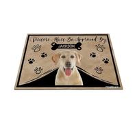 GABSHAIM Personalized Dog Doormat Visitors Must Be Approved by Labrador Dog Floor Mat Cartoon Paws Bone for Entrance Indoor Outdoor Home Decor 23.6 x 35.4 Inch Style 4