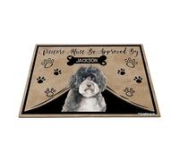 GABSHAIM Personalized Dog Doormat Visitors Must Be Approved by Pomeranian Dog Floor Mat Cartoon Paws Bone for Indoor Outdoor Entrance Home Decor 15.7 x 23.6 Inch