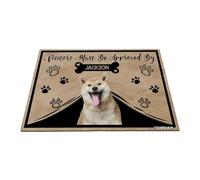 GABSHAIM Personalized Dog Doormat Visitors Must Be Approved by Shiba Inu Dog Floor Mat Cartoon Paws Bone for Entrance Indoor Outdoor Home Decor 15.7 x 23.6 Inch Style 2