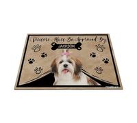 GABSHAIM Personalized Dog Doormat Visitors Must Be Approved by Shih Tzu Dog Floor Mat Cartoon Paws Bone for Entrance Indoor Outdoor Home Decor 23.6 x 35.4 Inch Style 2