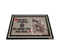 GABSHAIM Welcome Cat Doormat Welcome Floor Mat Cute Domestic Short Haired Cat No Need to Knock I Know You're Here Heart Paws Indoor Outdoor Home Decor 23.6 x 35.4 Inch