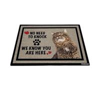 GABSHAIM Welcome Cat Doormat Welcome Floor Mat Cute Maine Coon Cat No Need to Knock I Know You're Here Heart Paws Indoor Outdoor Home Decor 17.7 x 27.5 Inch Style 2