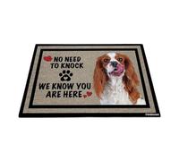 GABSHAIM Welcome Dog Doormat Welcome Floor Mat Cute Cavalier King Charles Spaniel Dog Puppy No Need to Knock I Know You're Here Heart Paws Indoor Outdoor Home Decor 23.6 x 35.4 Inch
