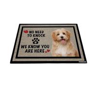 GABSHAIM Welcome Dog Doormat Welcome Floor Mat Cute Reddish Havanese Puppy No Need to Knock I Know You're Here Heart Paws Indoor Outdoor Home Decor 23.6 x 35.4 Inch
