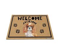 GABSHAIM Welcome Floor Mat Personalized Cavalier King Charles Spaniel Dog Doormat for Front Door Entryway Indoor Outdoor Decoration 15.7 x 23.6 Inch