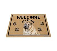 GABSHAIM Welcome Floor Mat Personalized Chinese Shar-Pei Dog Doormat for Front Door Entryway Indoor Outdoor Decoration 15.7 x 23.6 Inch