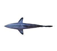 Gaby The Great White Shark Giant Pillow