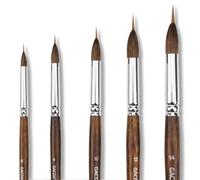 GACDR Watercolor Brushes Set - 5Pcs Extended Needle Point Artist Paint Brushes Professional Liner Brush - Synthetic Sable Hair Thin Paint Brushes for Watercolor Acrylic & Gouache