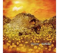 Gackt - Flower [Import]