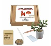 Gadgetking Grow Your Own Peter Penis Chilli Willi Willy Seeds Plant Kit Set Gift Present for Him Boyfriend Dad Men Man Her Ladies Secret Santa