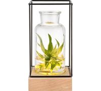 Gadgy Illuminated Vase Glass | Table Vase with Flower Lamp | Vase Decoration | Decoration Living Room Modern | Scandinavian/Industrial 22,5 x 10,8 x 10,8 cm