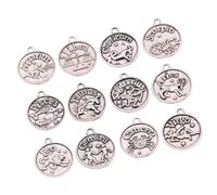 Gadpiparty 1 Set Zodiac Pendant Set Retro Bronze Alloy Charms for DIY Jewelry Making for Necklaces Earrings Bracelets Scrapbooking Projects Unique Idea for Friends Loved Ones