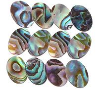 Gadpiparty 12Pcs Unique Abalone Shell Cabochons for Jewelry Making Flat Base Charms with Distinctive Patterns for Necklaces Earrings and Crafts