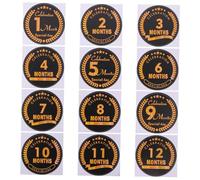 Gadpiparty 1set Photo Stickers for First Year Month Growth Markers Easy to Use Outfit Stickers for Newborn Photo Prop for Celebrating Each Month