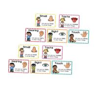 Gadpiparty 2 Sets Cognitive Learning Cards for Early Education Flashcards for Preschool Classroom Decor Home Learning Safe Design