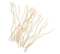 Gadpiparty 20Pcs Natural Wood Sticks for Crafting Twigs DIY Arts Crafts Photo Props for Decoration and Floral Arrangements