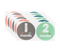 Gadpiparty 24pcs Decals Self-adhesive Stickers for Newborns Capture Special Moments Easy Peel Stick Photo Props for Showers and First Year Memories