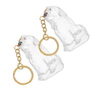 Gadpiparty 2pcs Transparent Dog Hair Keepsake Box Portable Pet Hair Memorial Keychain Storage Container Whiskers Organizer Visible Commemorative Charm for Pet Owners