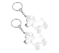 Gadpiparty 4pcs Transparent Pet Hair Memorial Keychain Keepsake Capsule for Dog Hair Storage Compact Lightweight Design for Emotional Tribute and Memory Preservation