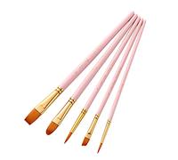 Gadpiparty 5pcs Professional Nylon Hair Paintbrush Set for Students and Artists Multi Shape Oil Watercolor Brushes Matte Pink Lightweight Travel Friendly Painting Kit
