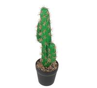 Gadpiparty Artificial Cactus Plant in Plastic with Pot for Home and Office Decoration, Versatile Use and Enduring Aesthetic Appeal, Fake Succulents for Indoor and Outdoor Display