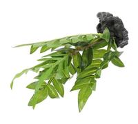 Gadpiparty Artificial Terrarium Plants for Reptile Habitats Safe Plastic Resin Decoration for Amphibian and Fish Tank Naturalistic Fake Plants Ornament for Aquarium and Reptile Terrarium