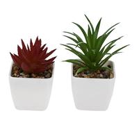 Gadpiparty Decorative Succulents Bonsai 2Pcs Artificial Potted Plants for Indoor Home and Office Use Small Lifelike Design