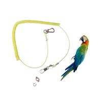 Gadpiparty Flying Rope Leg Ring for Parrot Pet Leash Elastic Training Rope for Bird Use during Outdoor Walks Random Color