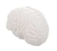 Gadpiparty Human Brain Model Detachable Anatomy Educational Model with High Precision Pvc Material for Classroom Study and Demonstrations White Science Display