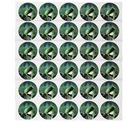 Gadpiparty Hydroponic Plant Grow Basket Stickers 50pcs PVC Self-Adhesive Seed Pot Labels for Soil-Free Cultivation Suitable for Garden and Indoor Plant Pots
