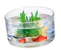 Gadpiparty Large Glass Flower Vase Cylindrical Hydroponic Vase Glass Container for Dinner Party and Home Decor