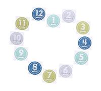 Gadpiparty Newborn Month Sticker Milestone Sticker for Boy Months Photo Prop First Year Growth Monthly for Scrapbook Photo Supplies