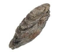 Gadpiparty Resin Trilobite Artificial Insect Specimen for Terrarium with Realistic Brown Design, Educational Value and Vivarium Decor for Reptile Enclosure and Science Teaching Spaces