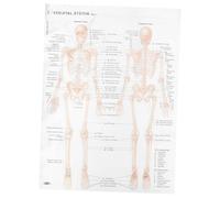 Gadpiparty Skeletal Structure Anatomy Poster for Home Wall Decoration and Teaching, Beige Cloth Material, 50x70cm Size, Human Anatomy and Physiology Educational Chart