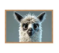 GAEKKO Wall Picture 'Fluffy Llama' on Photo Board with Picture Frame 60 x 40 cm