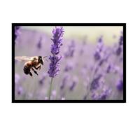 GAEKKO Wall Picture 'Lavender Bee Joy' on Photo Board with Picture Frame 60 x 40 cm