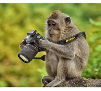 Gaetooely 100pcs 0.58 - 0.86 mm Assorted Color Plectrums Plastic Guitar Picks