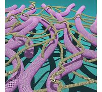 GAF y la Estrella de la Muerte - Pyramids [12" VINYL]