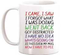 GAFFCO I Came I Saw I Forgot Funny Novelty Coffee Mug Family Present Birthday Mug 11 OZ