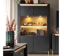 gaffney led wooden display cabinet 2 doors in matt black gold