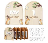 GAGILAND Baby Monthly Milestone Cards Wooden Baby Monthly Milestone Discs Gender Neutral Gift Baby Announcement Sign for Boy & Girl My First Year Photo Frame Newborn Photography Props
