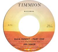 Gaia Sunset [7" VINYL]